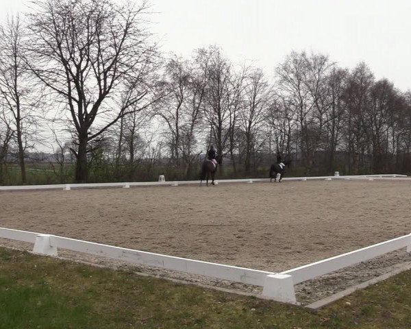 Reitturnier Elmlohe 2023