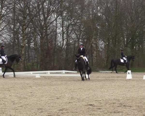 Reitturnier Elmlohe 2023