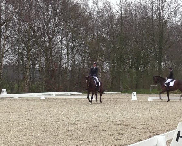 Reitturnier Elmlohe 2023