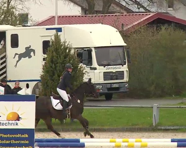 Reitturnier Grafenrheinfeld/Ufr. 2023