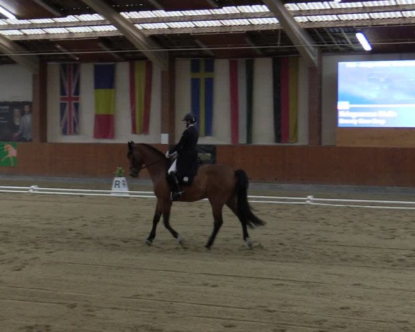 Reitturnier Weikersdorf 2023