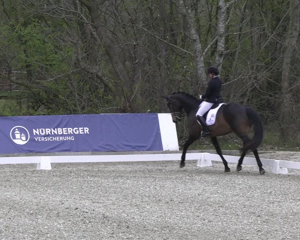Reitturnier Elmlohe 2023
