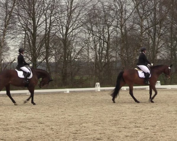 Reitturnier Elmlohe 2023