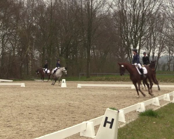 Reitturnier Elmlohe 2023
