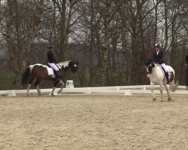 Reitturnier Elmlohe 2023