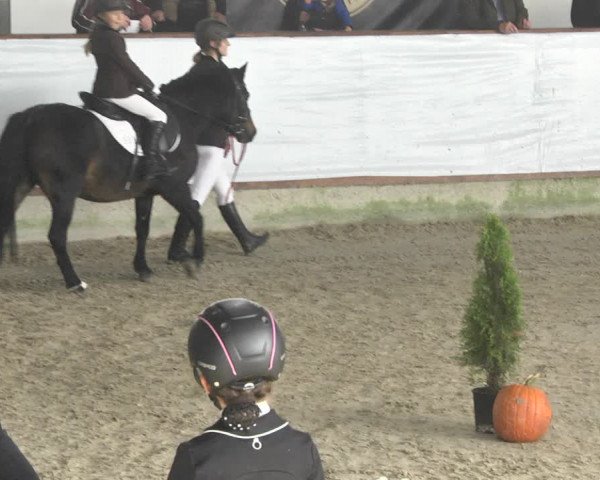 Reitturnier Karlsfeld/Obb. 2021