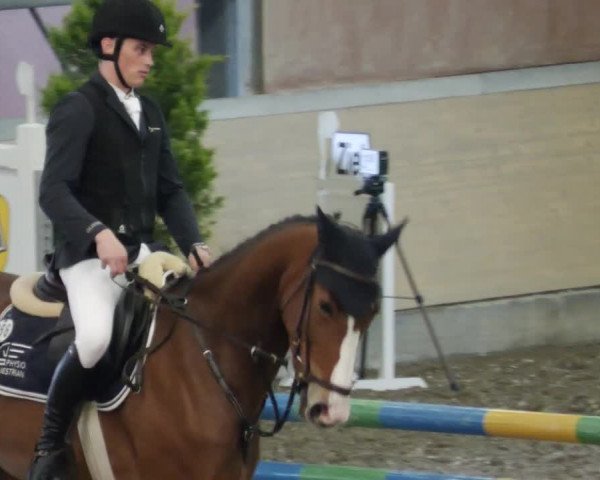 Reitturnier Waghäusel-Wiesental 2023