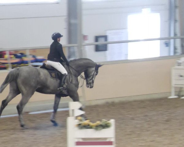 Reitturnier Waghäusel-Wiesental 2023
