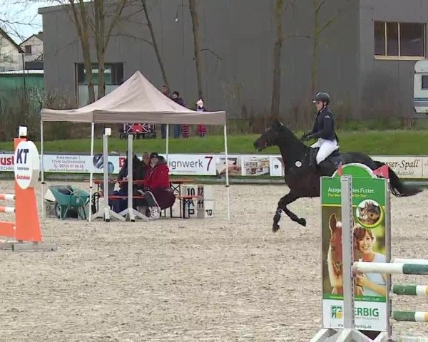Reitturnier Grafenrheinfeld/Ufr. 2023