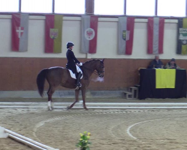 Reitturnier Weikersdorf 2023