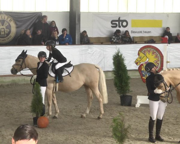 Reitturnier Karlsfeld/Obb. 2021