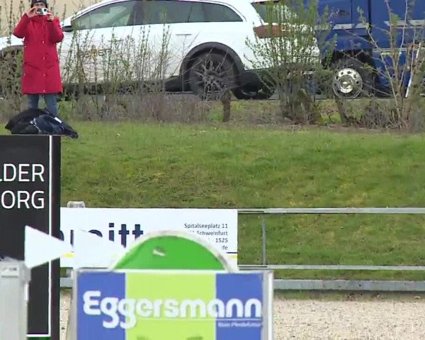 Reitturnier Grafenrheinfeld/Ufr. 2023