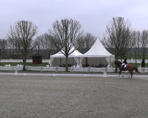 Reitturnier Elmlohe 2023
