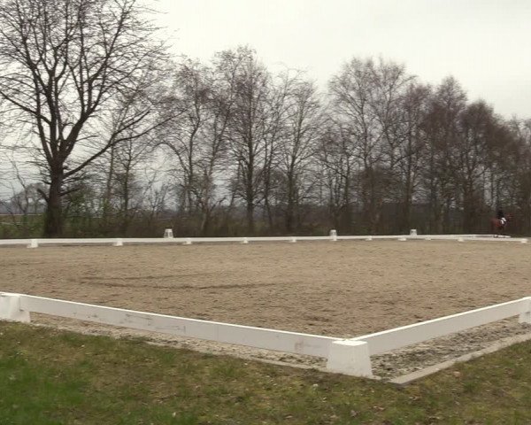 Reitturnier Elmlohe 2023