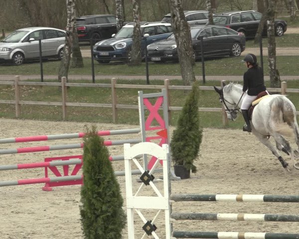 Reitturnier Westergellersen 2023