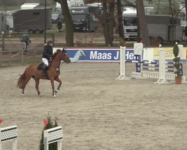 Reitturnier Westergellersen 2023