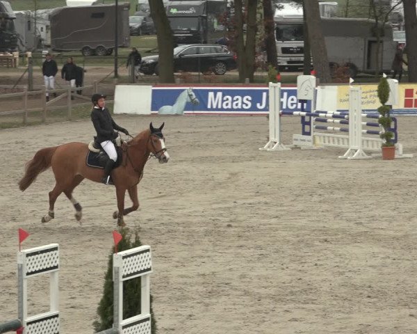 Reitturnier Westergellersen 2023