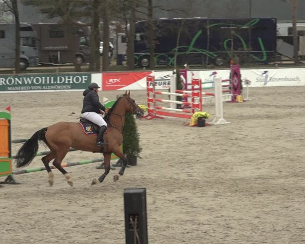 Reitturnier Westergellersen 2023