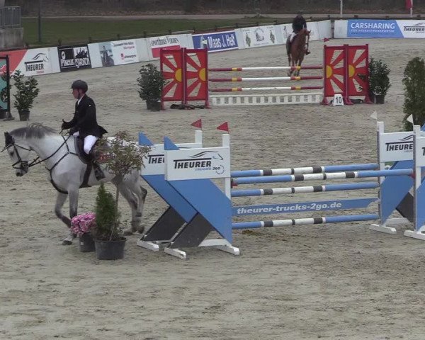 Reitturnier Westergellersen 2023