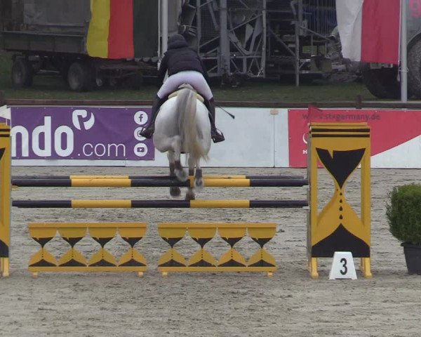 Reitturnier Westergellersen 2023