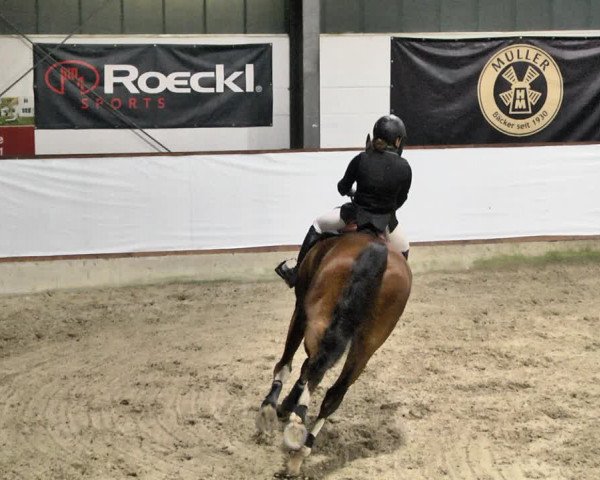 Reitturnier Karlsfeld/Obb. 2021