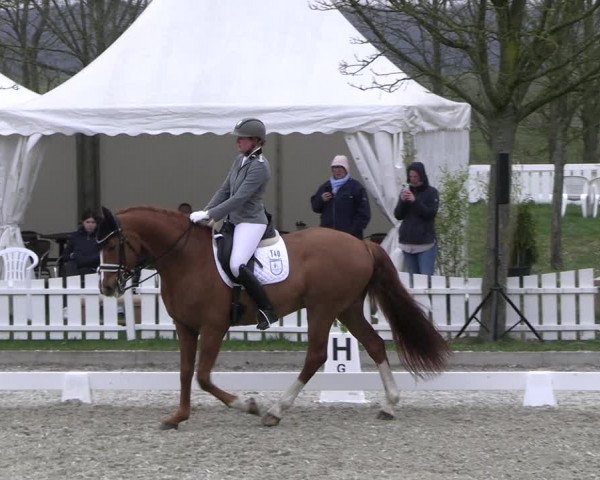 Reitturnier Elmlohe 2023