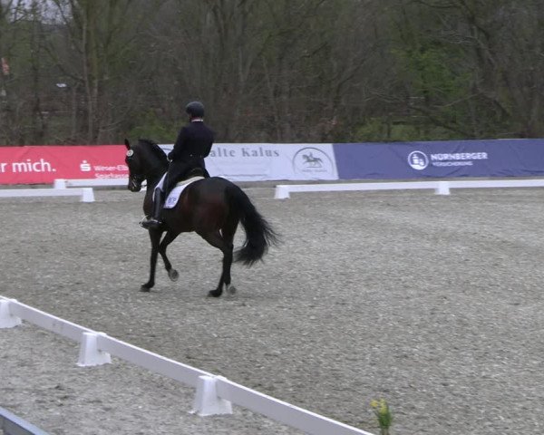 Reitturnier Elmlohe 2023