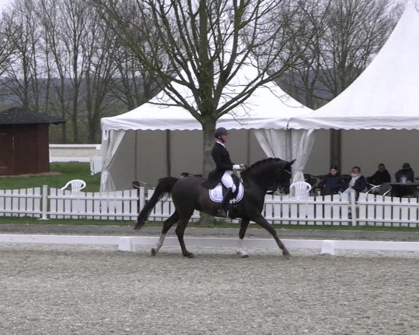 Reitturnier Elmlohe 2023