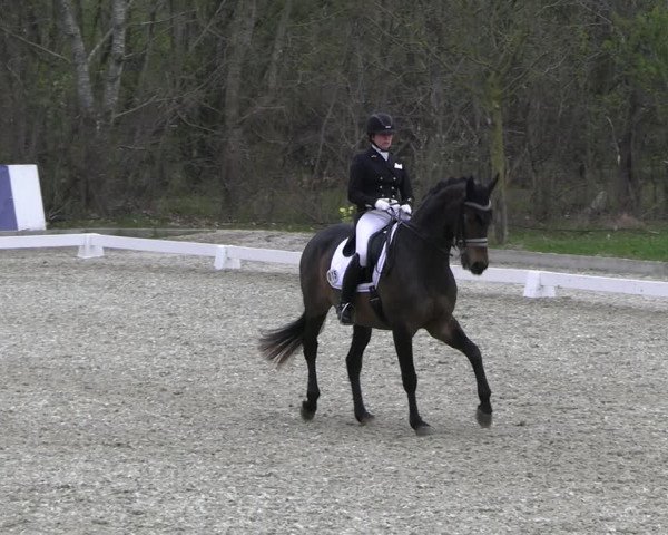 Reitturnier Elmlohe 2023