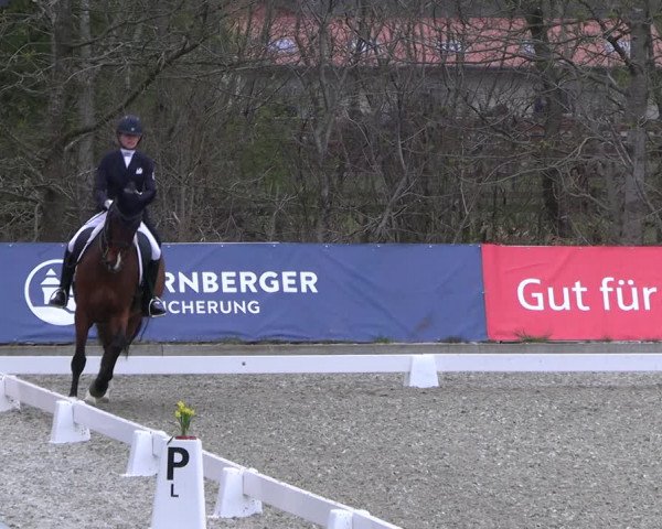 Reitturnier Elmlohe 2023