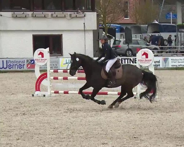Reitturnier Grafenrheinfeld/Ufr. 2023