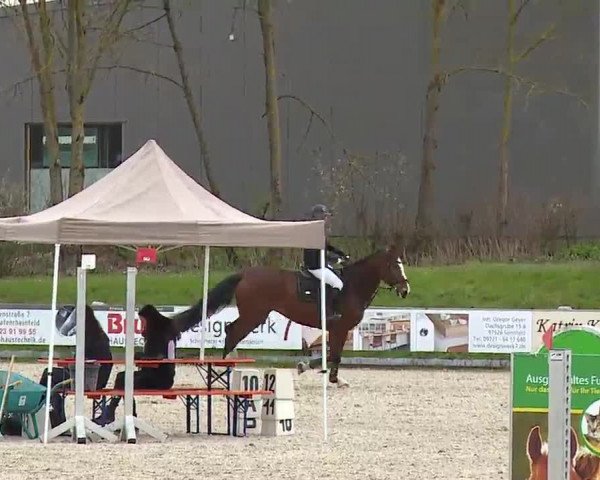 Reitturnier Grafenrheinfeld/Ufr. 2023