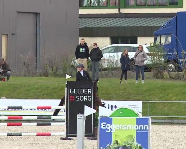 Reitturnier Grafenrheinfeld/Ufr. 2023