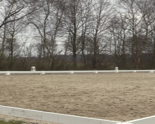 Reitturnier Elmlohe 2023