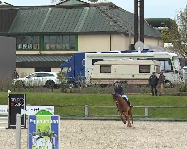 Reitturnier Grafenrheinfeld/Ufr. 2023