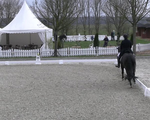 Reitturnier Elmlohe 2023
