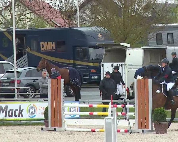 Reitturnier Grafenrheinfeld/Ufr. 2023
