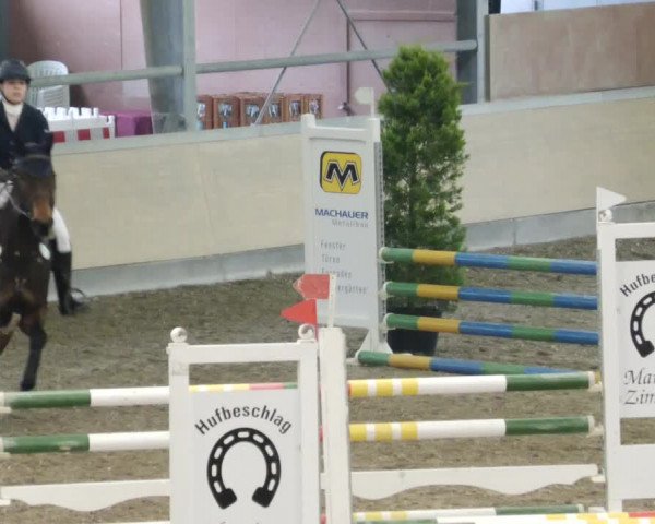 Reitturnier Waghäusel-Wiesental 2023