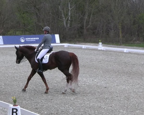 Reitturnier Elmlohe 2023