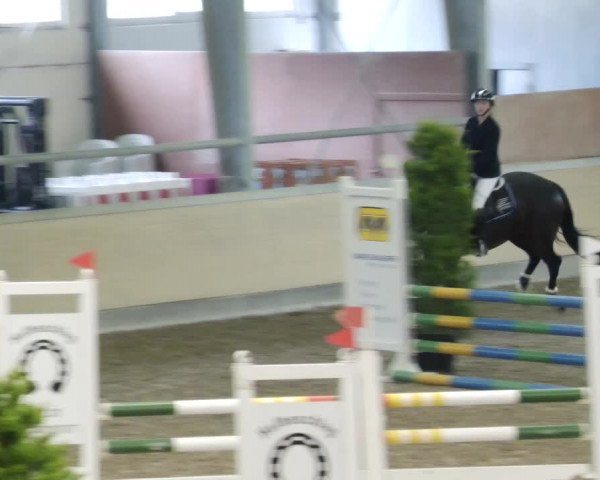 Reitturnier Waghäusel-Wiesental 2023