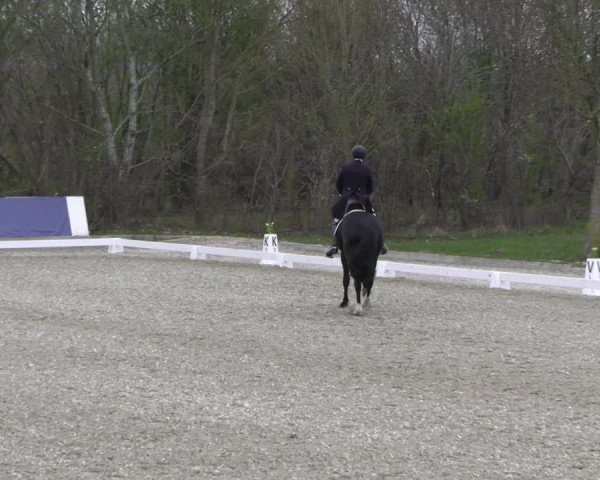 Reitturnier Elmlohe 2023