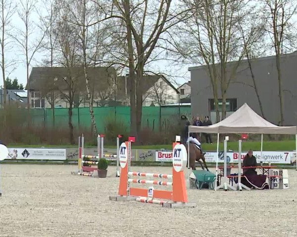 Reitturnier Grafenrheinfeld/Ufr. 2023
