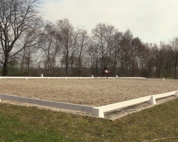 Reitturnier Elmlohe 2023