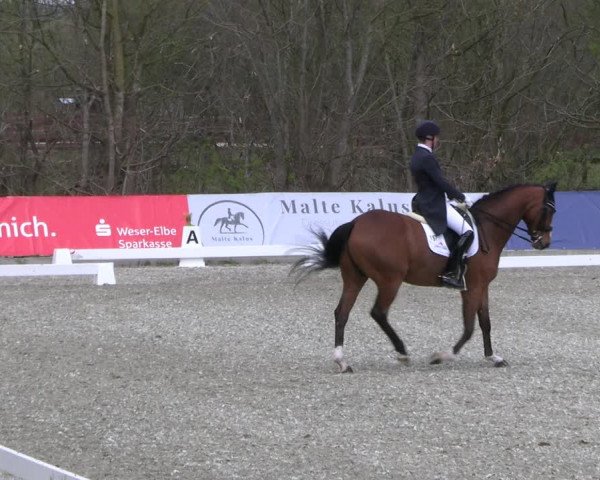 Reitturnier Elmlohe 2023