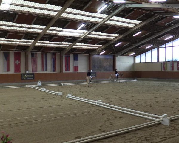 Reitturnier Weikersdorf 2023