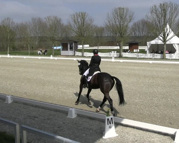 Reitturnier Elmlohe 2023