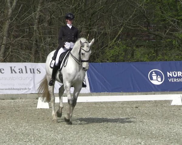 Reitturnier Elmlohe 2023