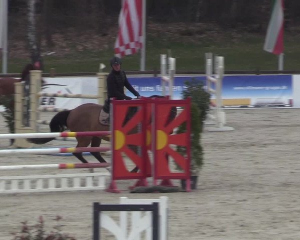 Reitturnier Westergellersen 2023