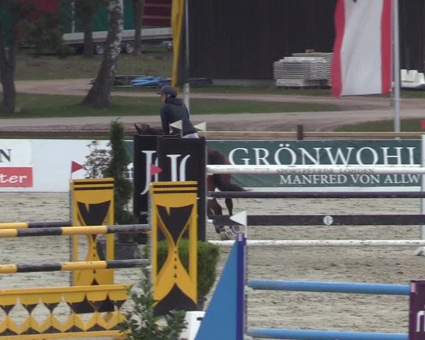 Reitturnier Westergellersen 2023