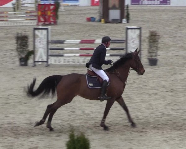 Reitturnier Westergellersen 2023